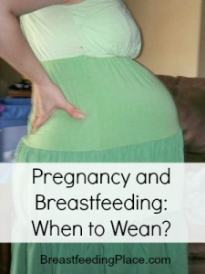 pregnancy and breastfeeding