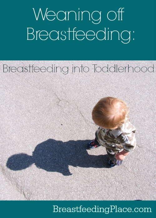 Do you need to worry about weaning off breastfeeding when your child turns a year old? This post answers that question.