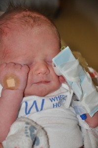 fletchie baby 3 image
