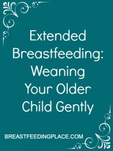 Extended Breastfeeding Weaning Your Older Child Gently