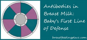 Antibodies in Breast Milk: Baby's First Line of Defense