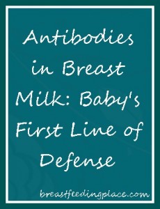 Antibodies in Breast Milk: Baby's First Line of Defense