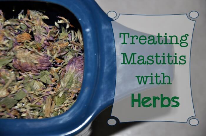 Treating Mastitis with Herbs  - BreastfeedingPlace.com #naturalremedies #nursing #baby