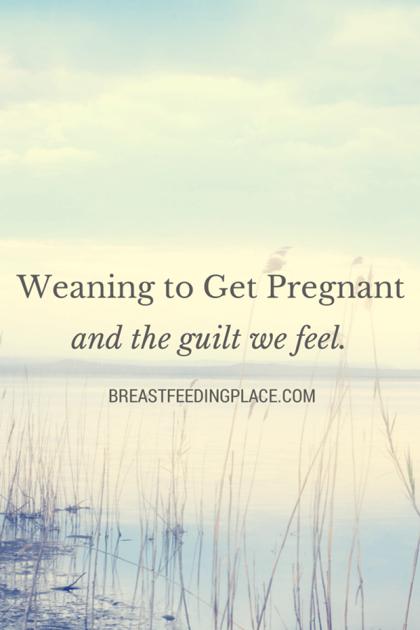 Weaning to Get Pregnant - and the Guilt We Feel    BreastfeedingPlace.com #nursing