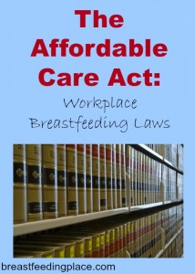 What are your state's workplace breastfeeding laws?