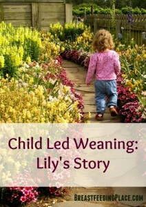 One mom's experience with child led weaning